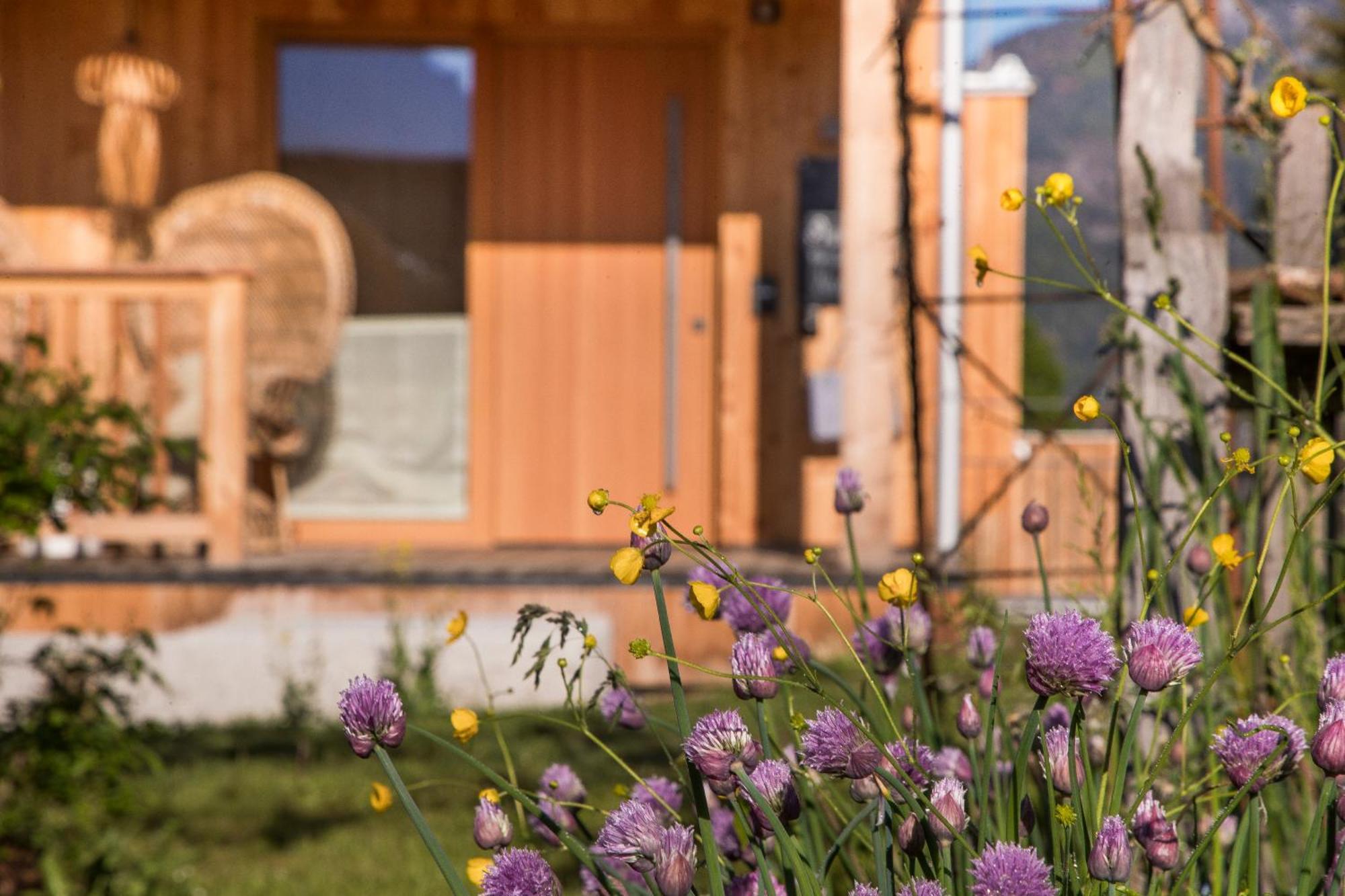 Alpegg Chalets Вайдринг Екстериор снимка